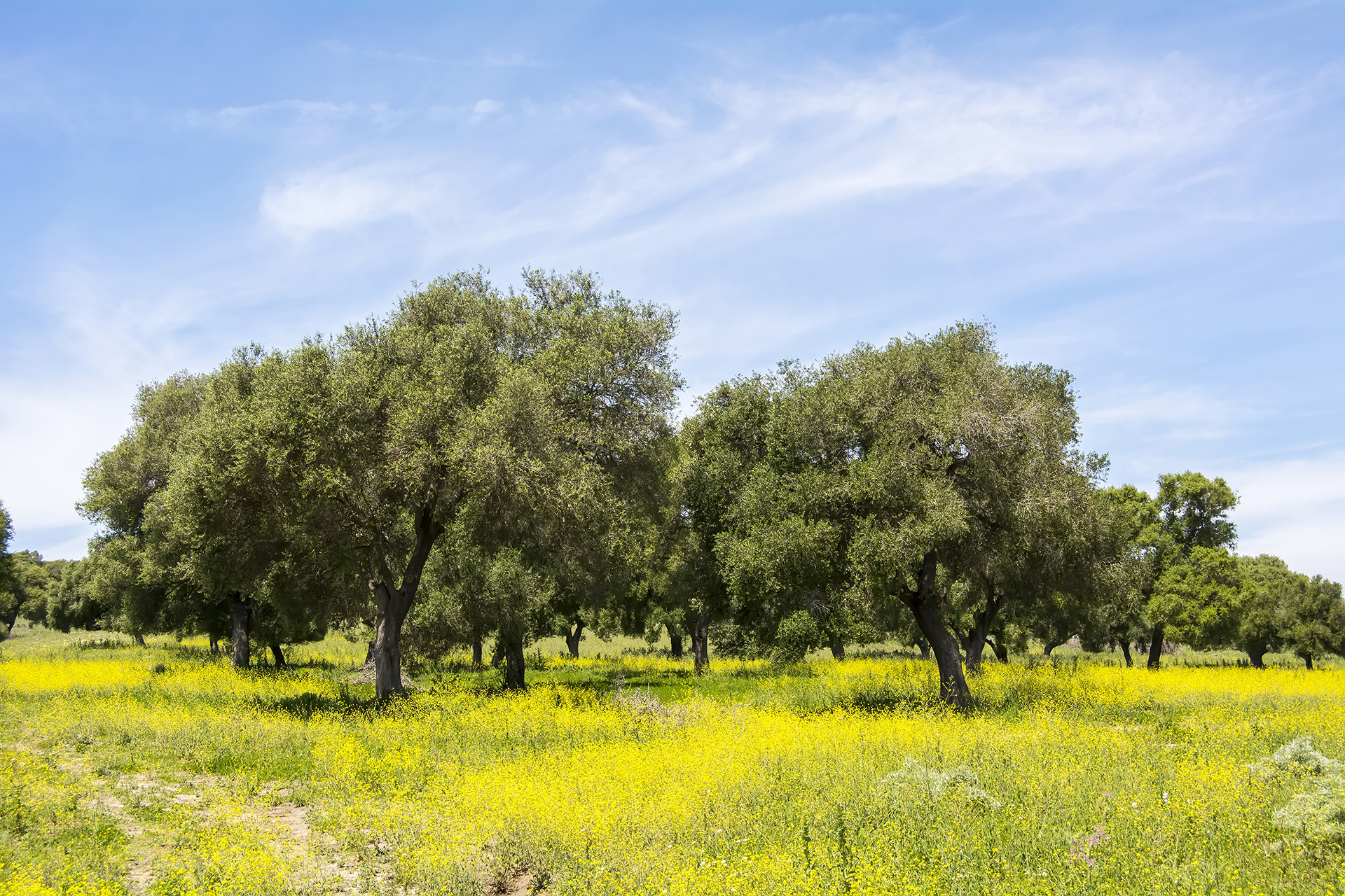 anna-hotel-afitos-village